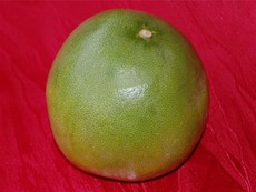 Pomelo_1.JPG